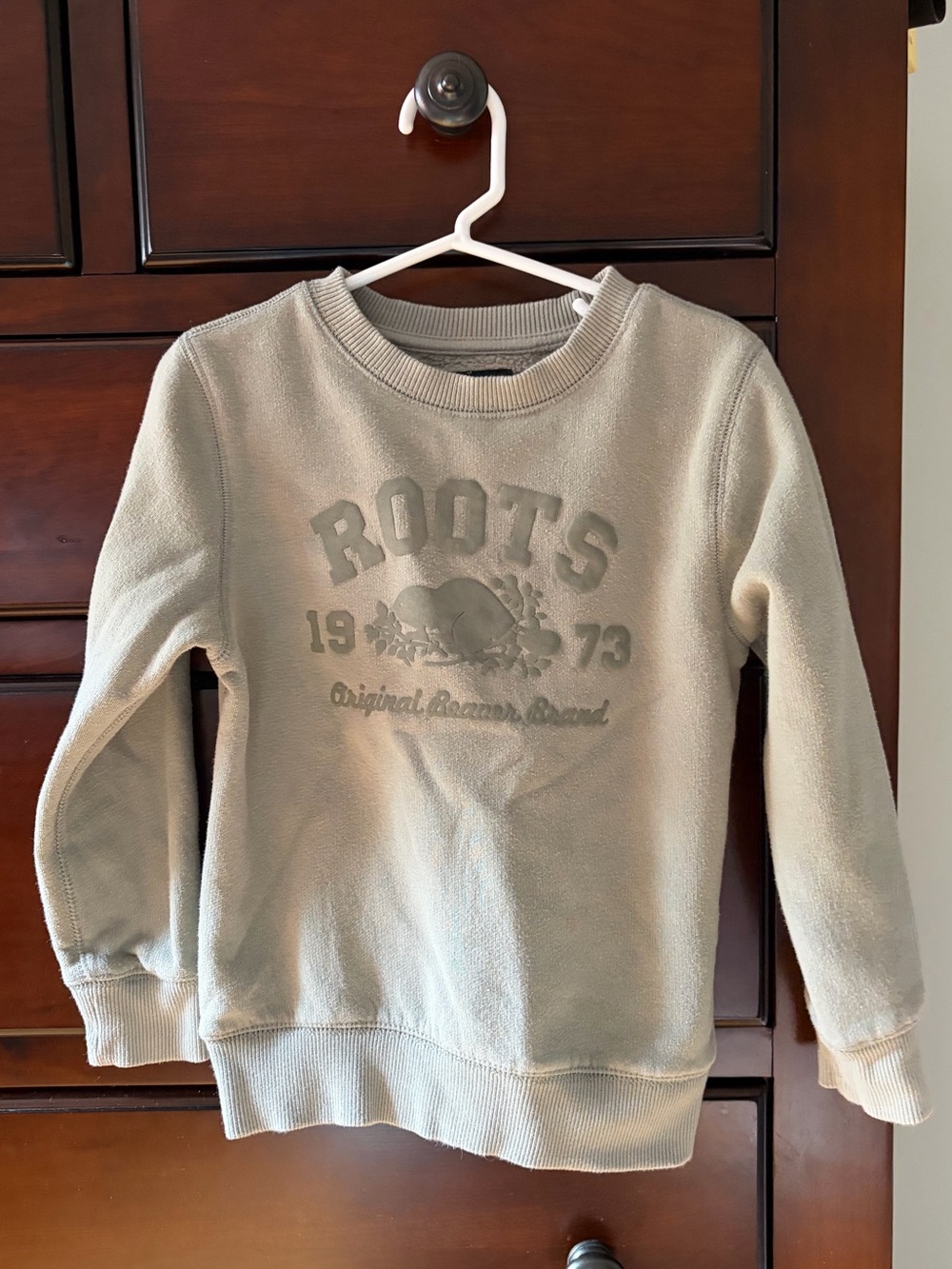 Roots Kids Crewneck Sweatshirt in Pale Gray-Mint Green